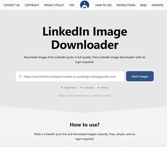 paste-copied-url-into-search-input